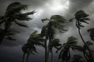 Hurricane Preparedness: Protecting Your Miami-Based Business