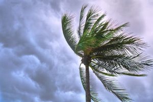 Hurricane Season Prep: How to Protect Your Home Tech and Essentials