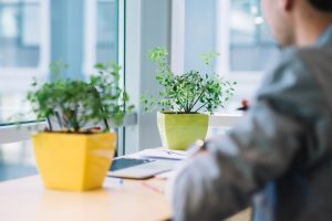 How to Protect Your Tech Devices When You Have Indoor Plants