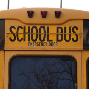 Free school bus image, public domain car CC0 photo.
More:
View public domain image source here