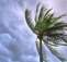 Hurricane Season Prep: How to Protect Your Home Tech and Essentials